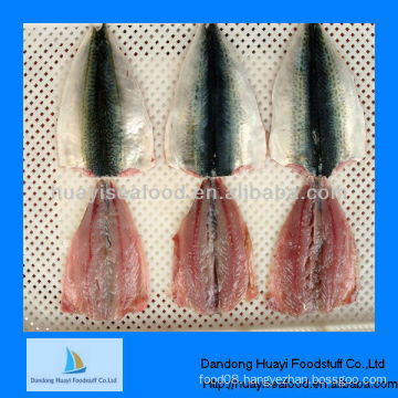 Frozen horse mackerel fish